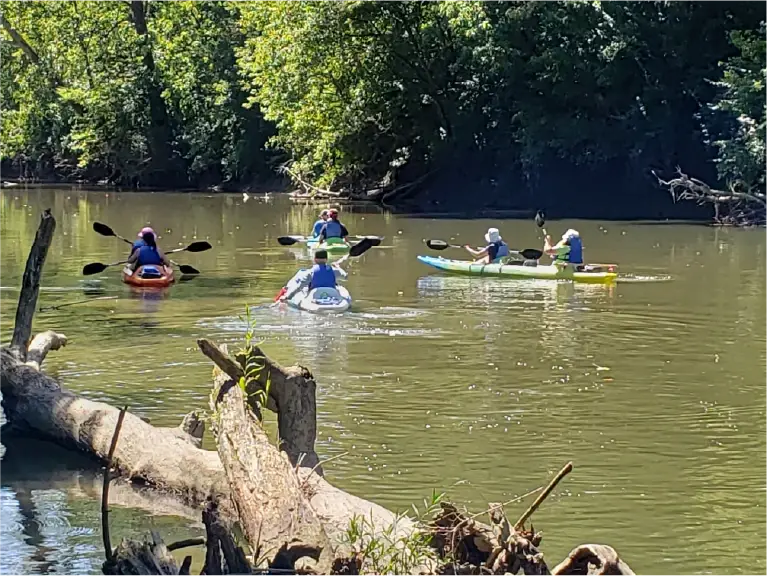Kayakers paddling along the Little Miami River during a relaxing self-guided river trip